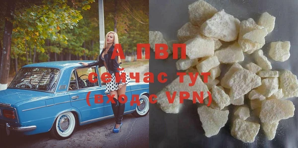 дживик Абаза