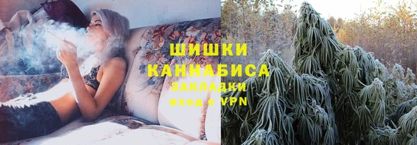 дживик Абаза