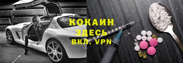 дживик Абаза