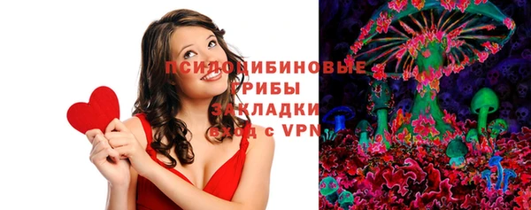 дживик Абаза