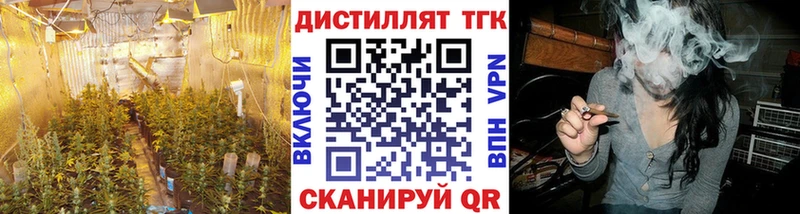omg ТОР  Холм  ТГК Wax 