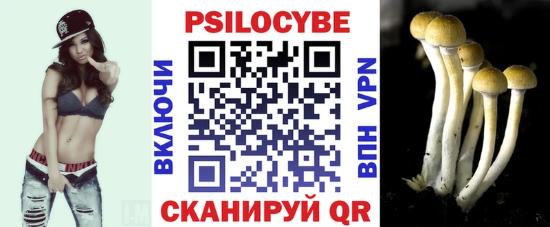 Псилоцибиновые грибы Psilocybe  Холм 