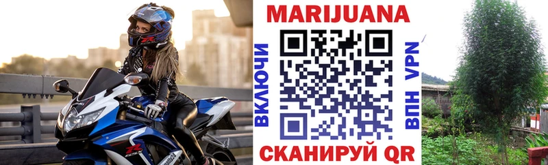 Шишки марихуана планчик  Холм 